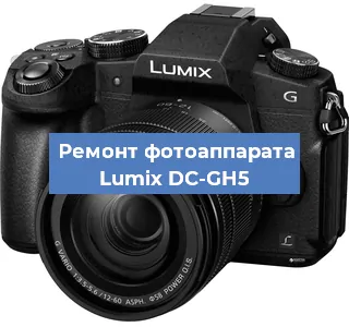Замена шторок на фотоаппарате Lumix DC-GH5 в Воронеже